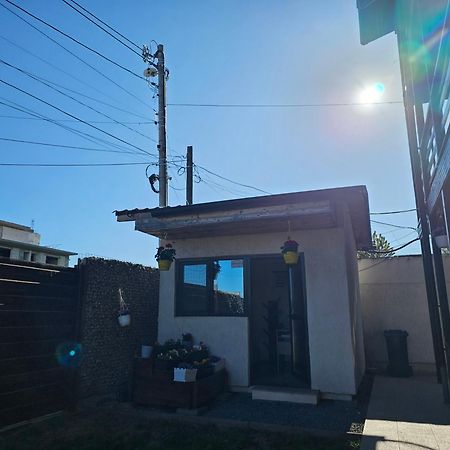 Vila Natalia Vama Veche Bagian luar foto